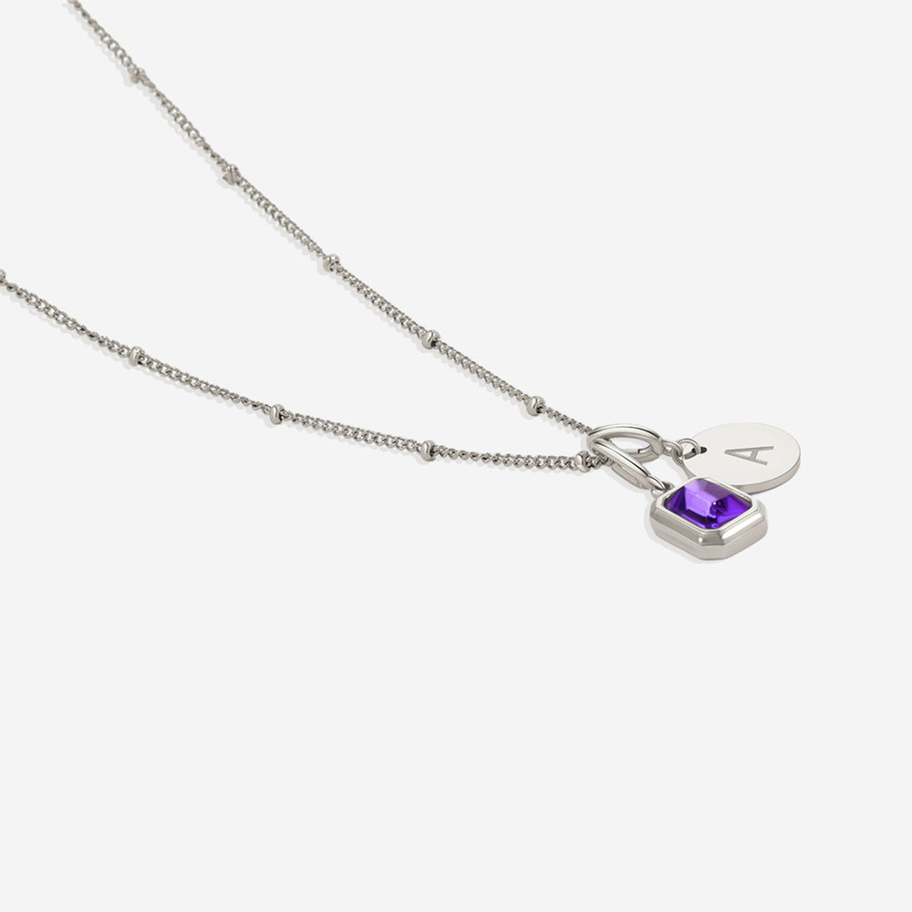 Baguette Birthstone & Initial Necklace - Silver / February Amethyst