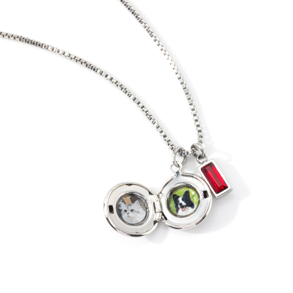 Family Birth Flower Locket Necklace with Birthstone - Silver / December Blue Topaz