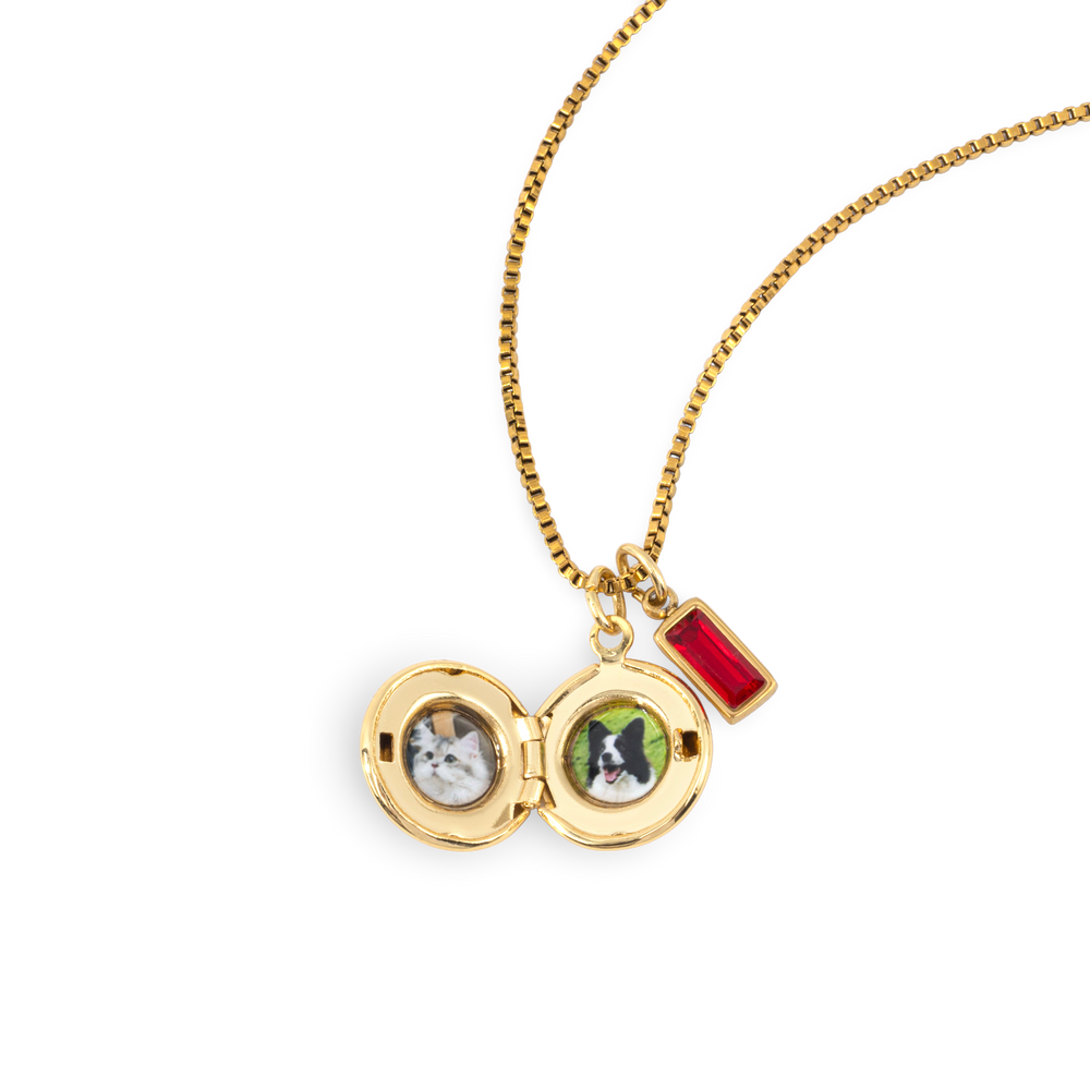 Family Birth Flower Locket Necklace with Birthstone - Gold / January Garnet