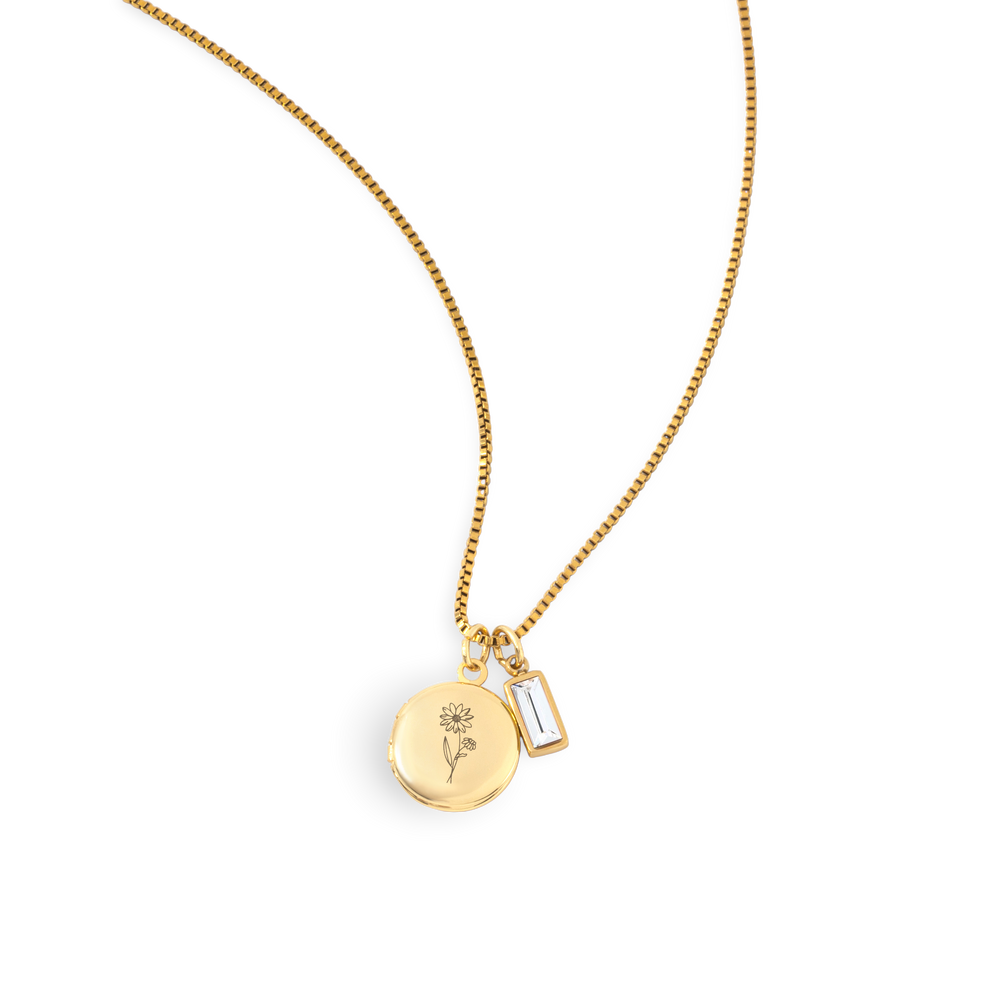 Family Birth Flower Locket Necklace with Birthstone - Gold / January Garnet