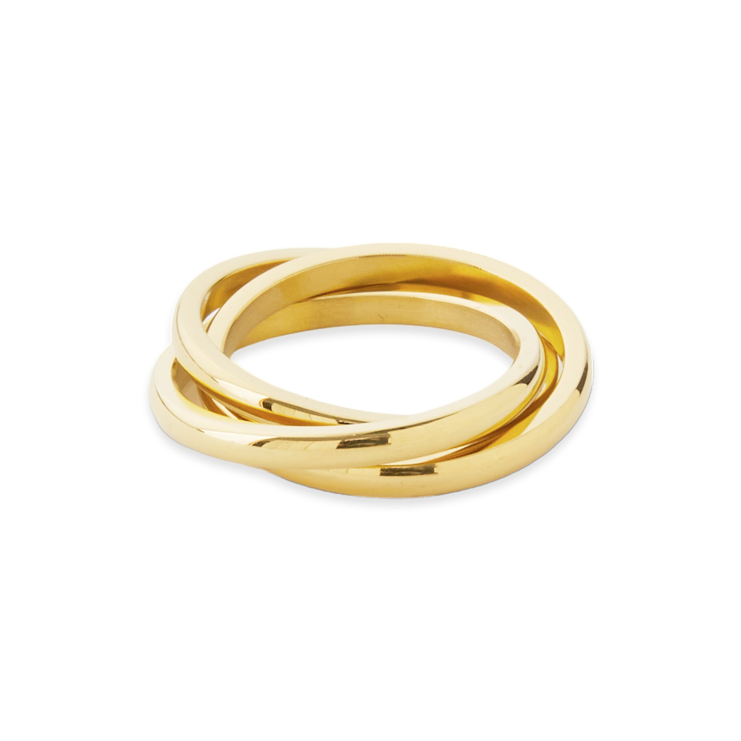 Dainty Interlocking Fidget Ring Mint & Lily