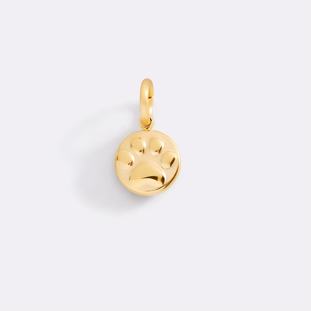 Gold pendant on a light gray background