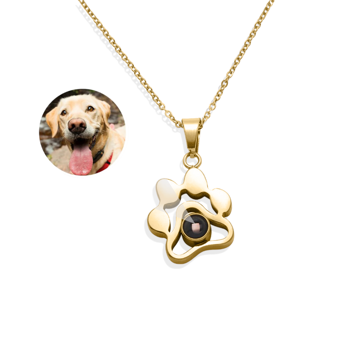 A personalized pet photo necklace with a gold-colored chain and a paw-shaped charm containing a photo of a dog.