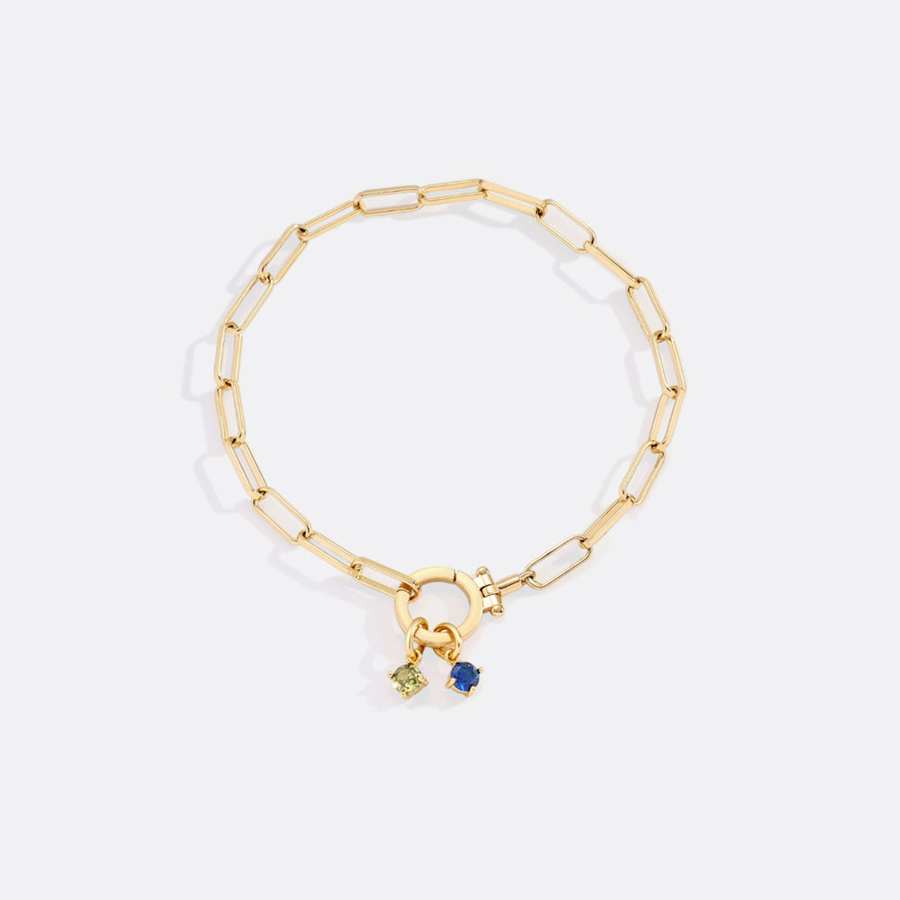 https://www.dropbox.com/scl/fi/l7u80sm9o146hlj3h3nan/Essential-4mm-Birthstone-Charm_3.jpg?rlkey=mhus57x7ia35by93x8ty9myx5&st=fyvb1u38&dl=0