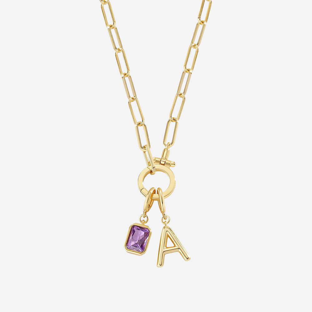 https://www.dropbox.com/scl/fi/p4ngs8w4f4rzvfi0af0qn/Initial-Birthstone-with-Charm-Clasp-Necklace_2.jpg?rlkey=ct0vbge3afvw87t06hmh9yttv&st=ligiw80k&dl=0