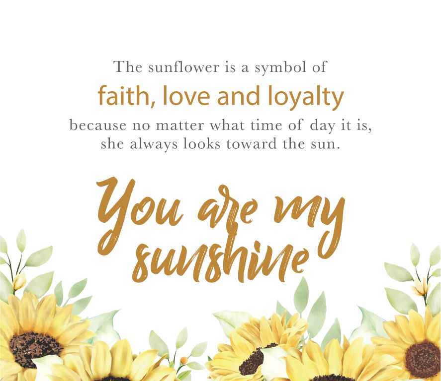 You Are My Sunshine Sunflower Ring - Gold / 6
