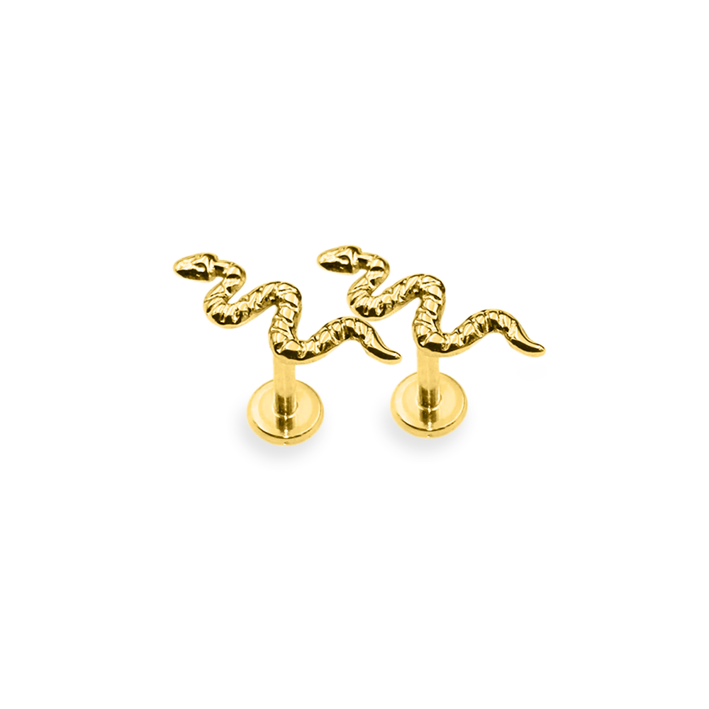 Cute Labret Studs