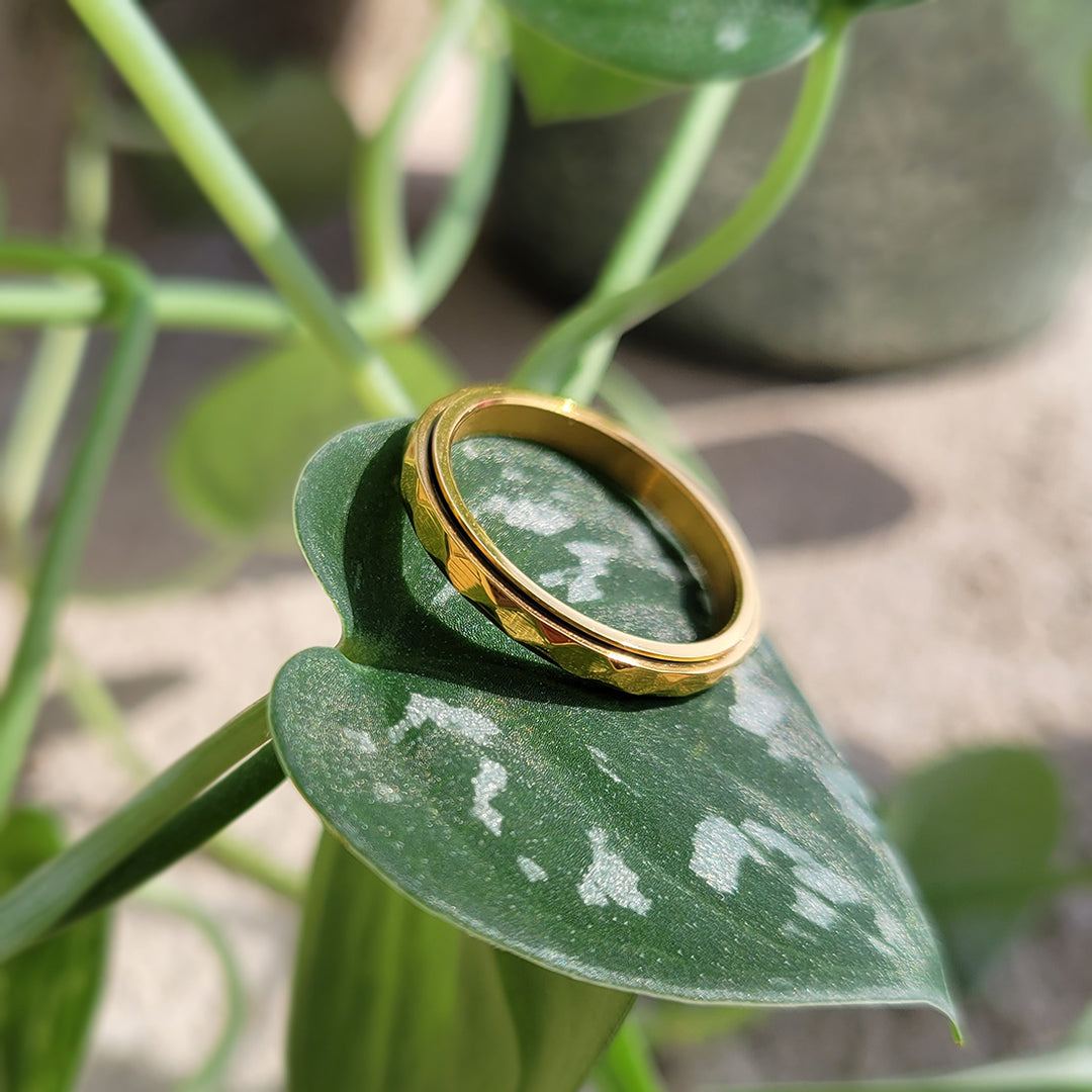 Dainty Hammered Band Spinning Fidget Ring – Mint & Lily